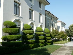Landschaftsbau Rems Murr Gras Garten Deko Schnitt